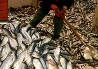 Eiroparlaments izvirza zivsaimniecbas politikas reformas priorittes