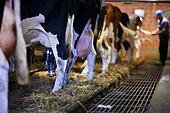 ES Komisijai ir jauni prieklikumi piensaimnieku atbalstam
