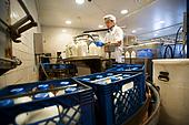 Lietuvas lauksaimnieki plāno izveidot lielu piena pārstrādes ražotni